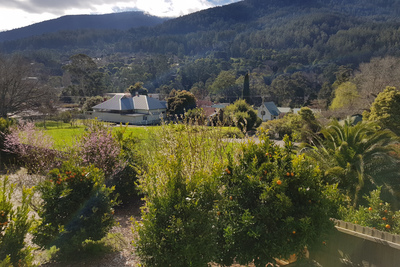 Back garden viewed from balcony